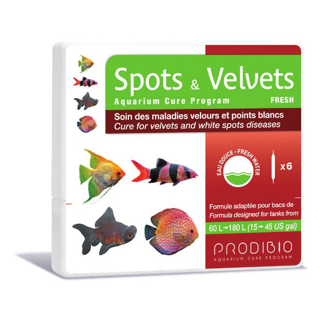 Spots & Velvets FRESH