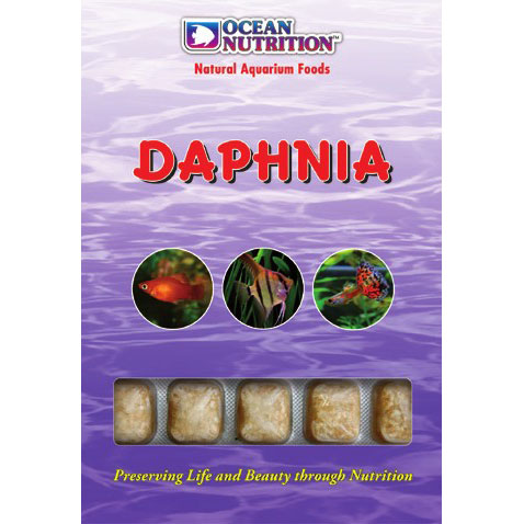 Daphnia (Freshwater Only)