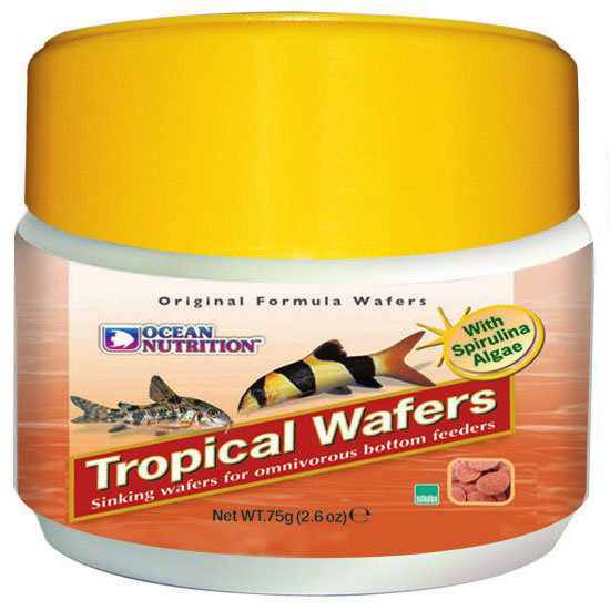 Tropical Wafers